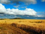 Администрация Пышминского городского округа информирует о мероприятиях по образованию земельных участков из земель сельскохозяйственного назначения, оформляемых в муниципальную собственность в качестве невостребованных долей