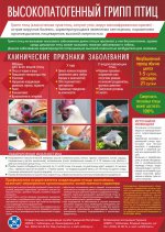 Организован подворовый обход ЛПХ в целях обеспечения учета сельскохозяйственной птицы