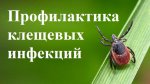 На 26.06.2023г. на территории Пышминского городского округа зарегистрировано 218 пострадавших от присасывания клещей