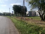 В с. Боровлянское 09 августа 2023 года проведены работы по уборке клёнов вдоль дороги