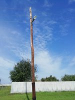 В летний период силами МУП ЖКХ «Трифоновское» проведен текущий ремонт сети уличного освещения, согласно заявок территориального управления