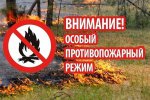 Установить особый противопожарный режим на территории Пышминского городского округа с 12 апреля 2024 года