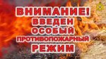 Введен особый противопожарный режим на территории Пышминского городского округа