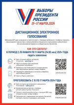 Начался прием заявлений для участия в дистанционном электронном голосовании (ДЭГ) на выборах Президента Российской Федерации